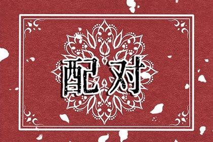 血型配对(民俗参考)
